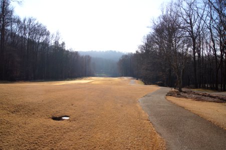 DSC00607