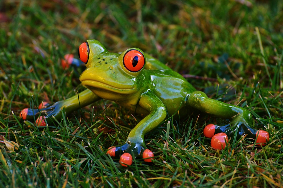 Animal green cute