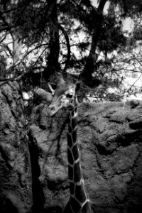 Philadelphia Zoo, Philadelphia PA