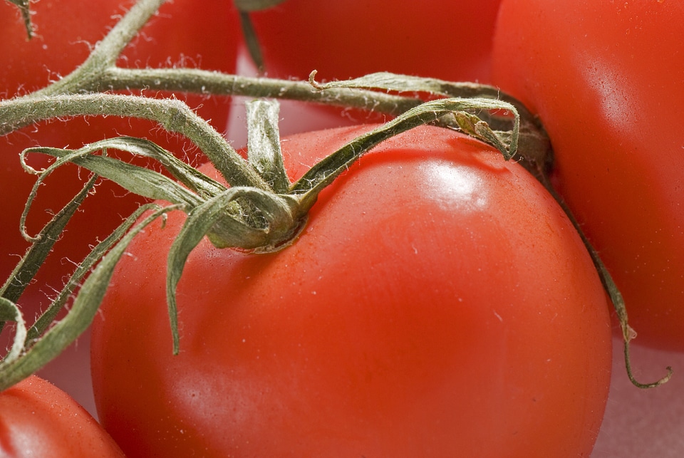 Cooking vegetarian red