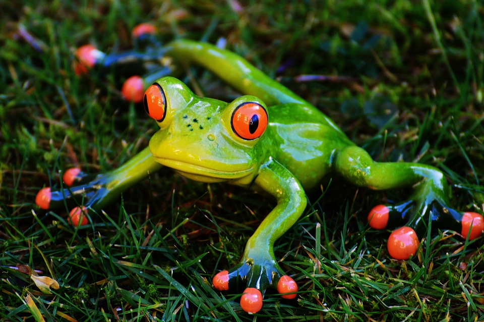 Animal green cute