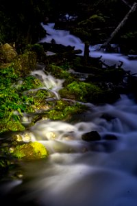 motion of nature