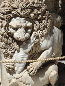 Museum predator animal