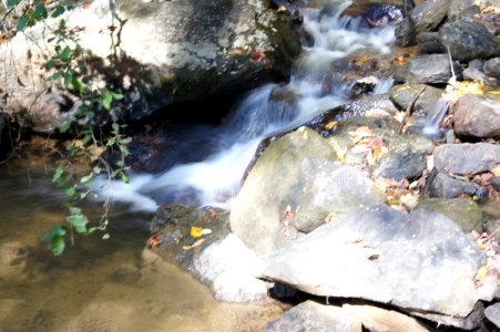 DSC00340