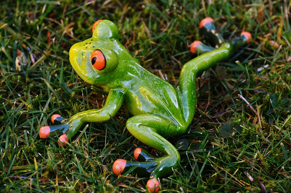 Animal green cute