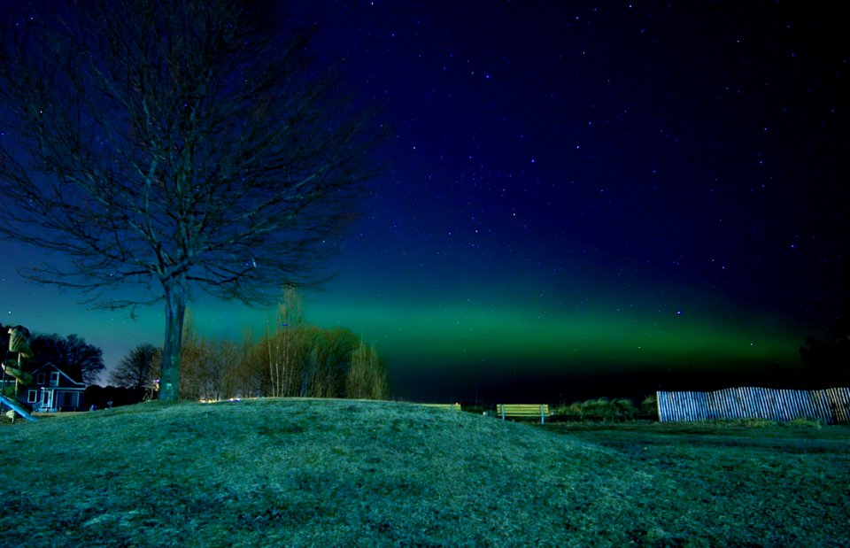 The aurora