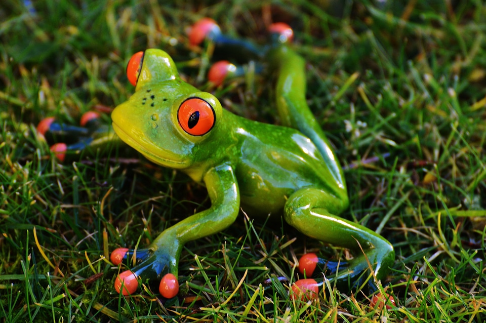 Animal green cute