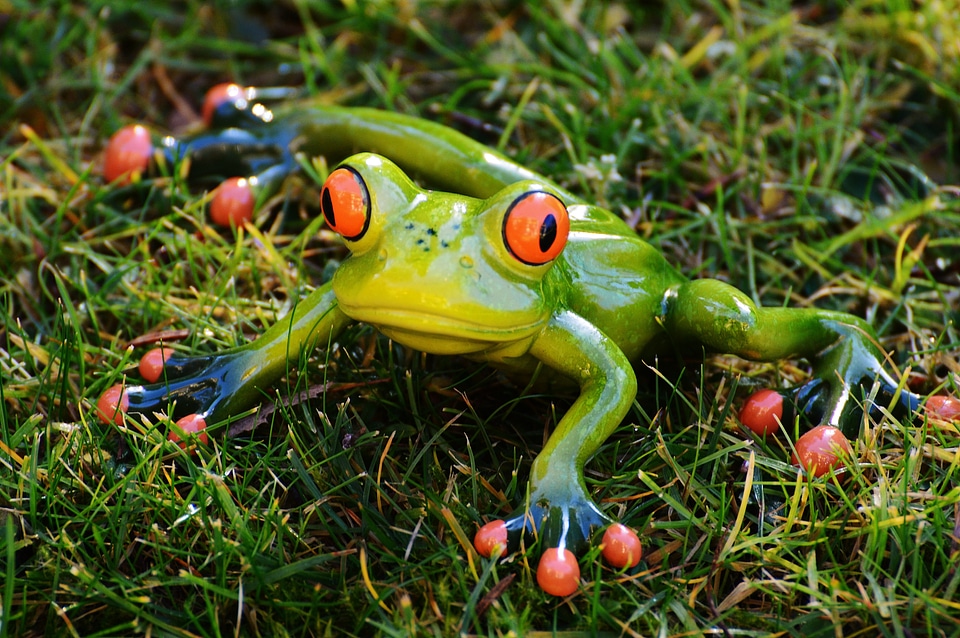 Animal green cute