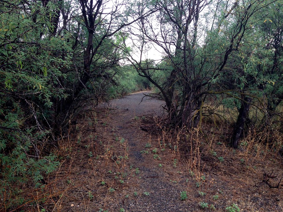 July 2014 - NM&A Railroad Grade - Fairbank