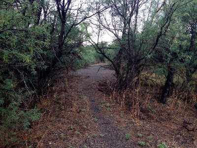 July 2014 - NM&A Railroad Grade - Fairbank