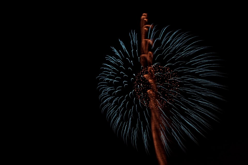 IMG 3529