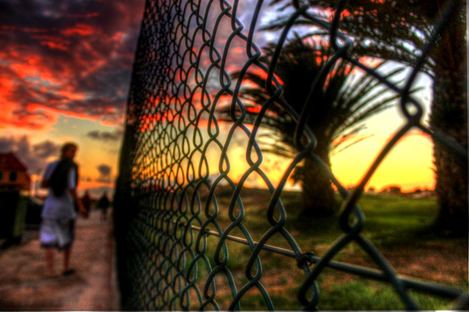 To understand everything is to forgive everything