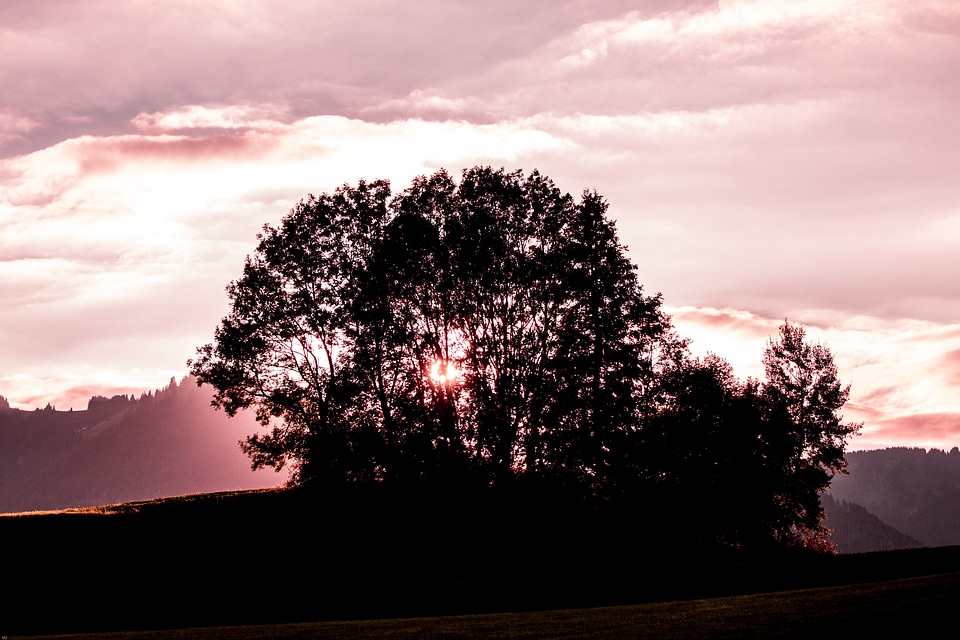 Lighting sunset sunlight