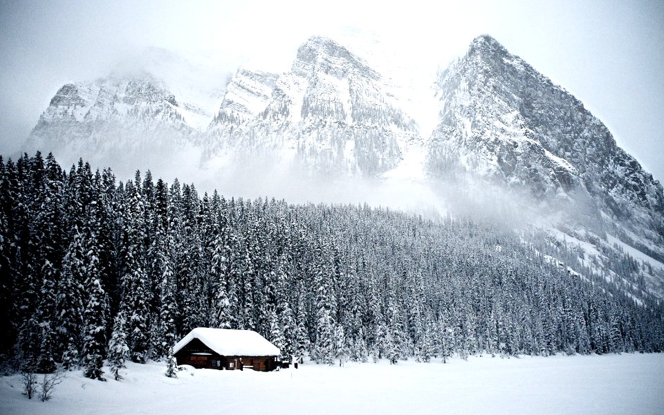 Lake Louise Landscape