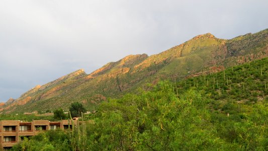 View from the room.