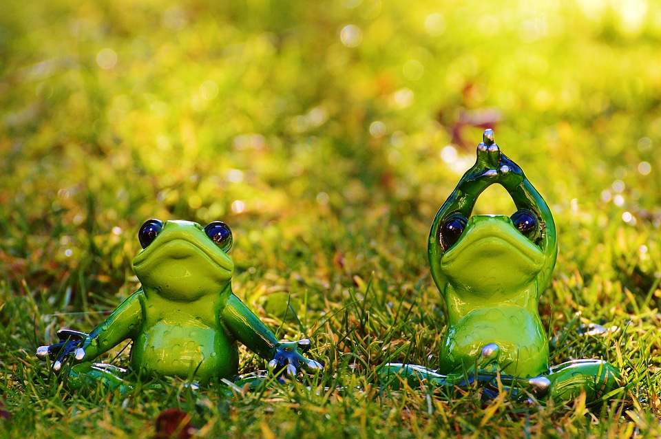 Figure animal green