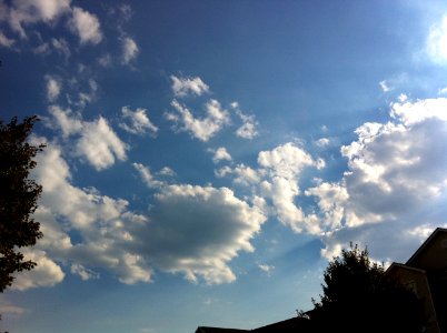 Day 285 - How the iPhone 4 sees the sky.