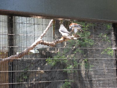 IMG 0420