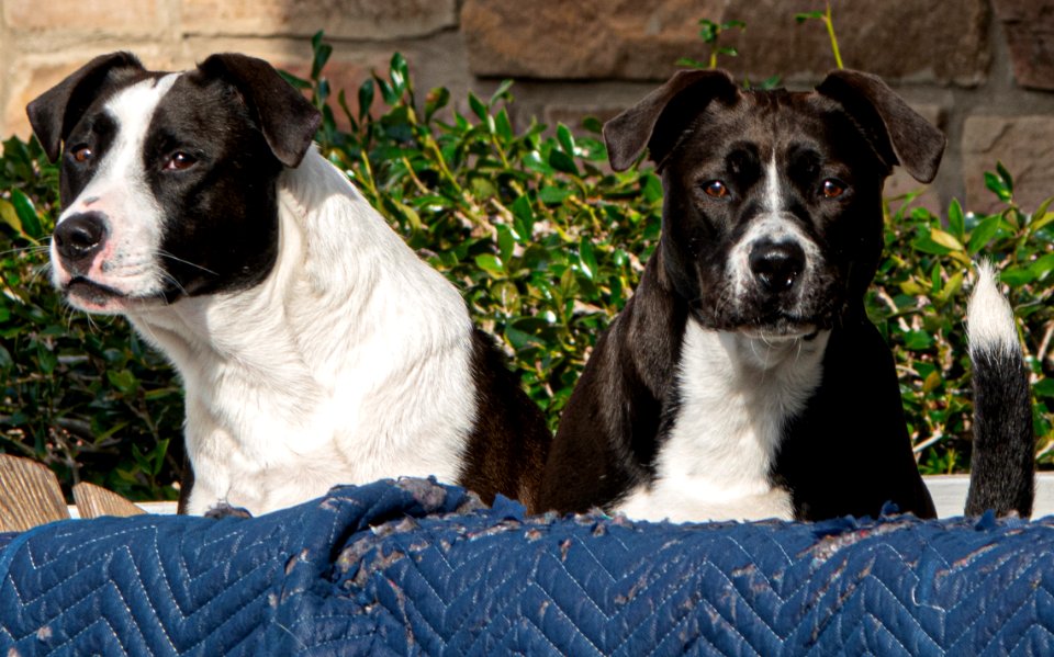 Welcome Committee