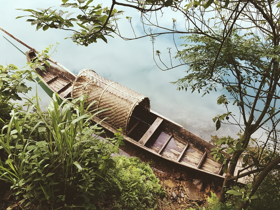 The scenery river canoe