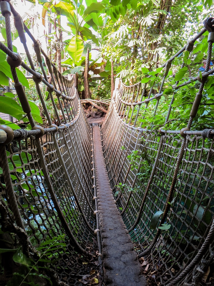 Wilderness adventure rope