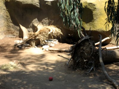 IMG 0390