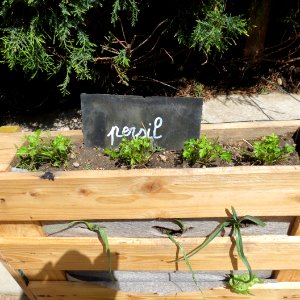 Les palettes sont devenues jardinières photo