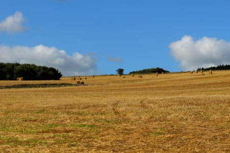 2016 1006 3946
