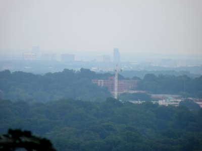 P1000429