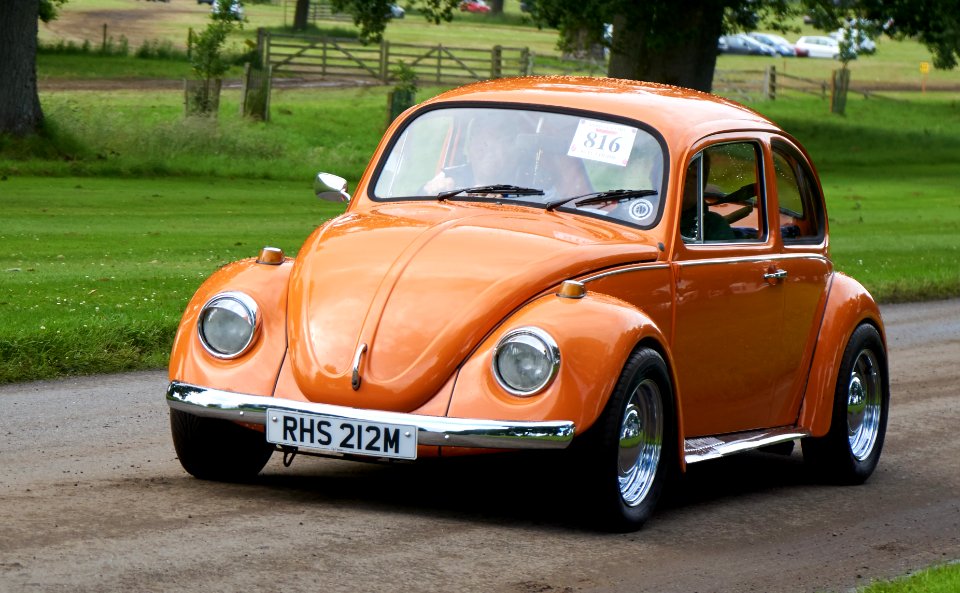 VW Beetle