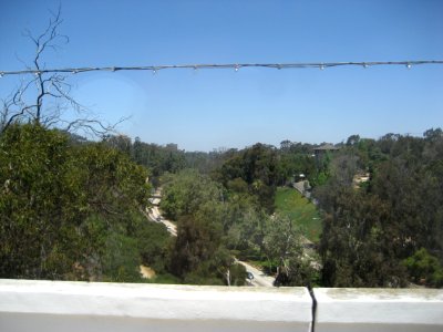 IMG 0431