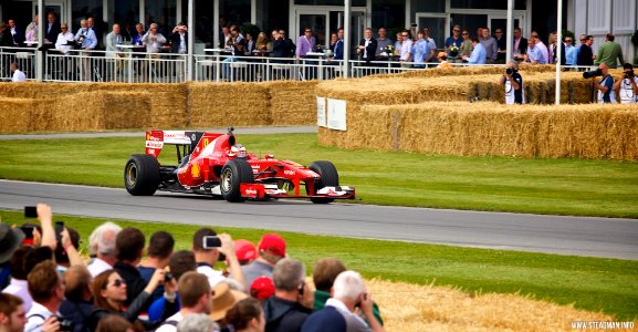 2014 Goodwood Festival Of Speed - Ferrari F1