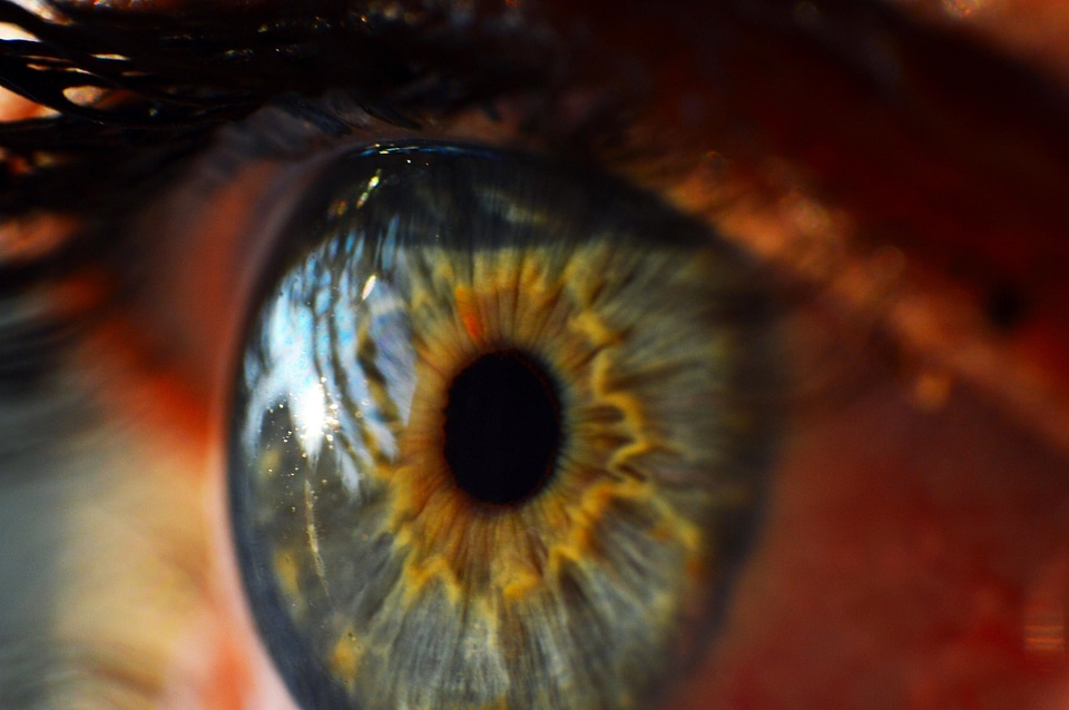 View cornea close up