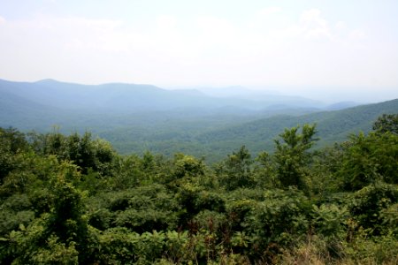 IMG 0660