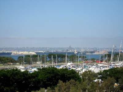 IMG 0454
