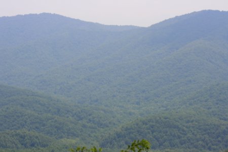 IMG 0667