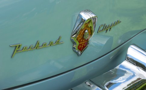 1953 Packard Clipper Sportster