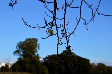 DSC 0196