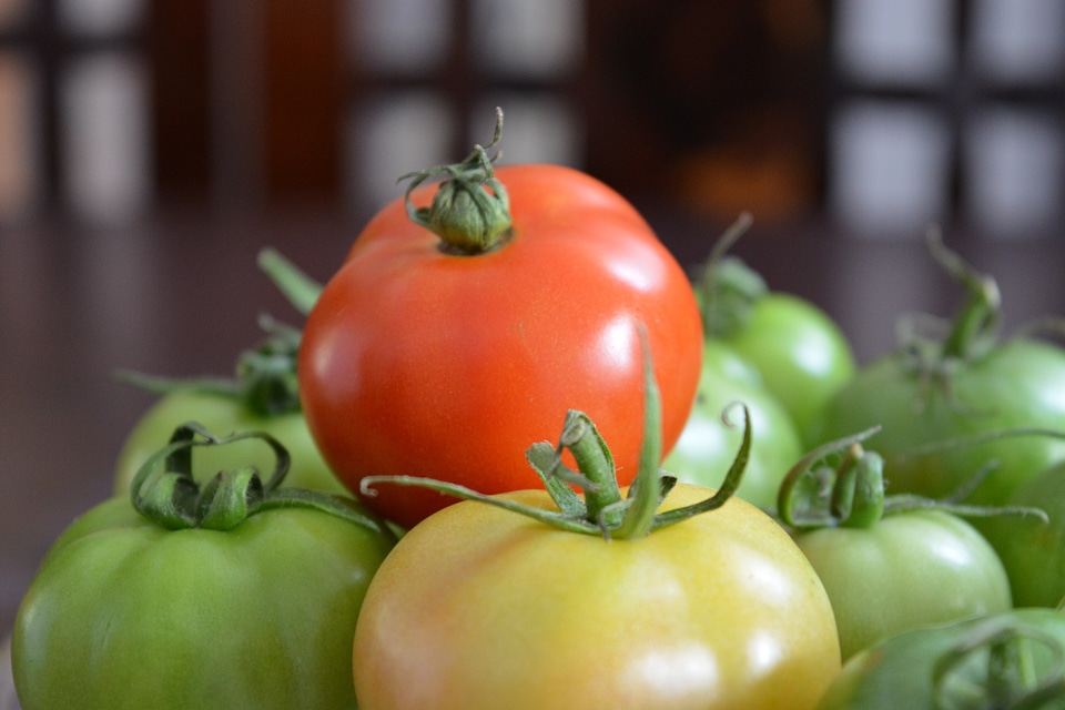 Tomato fruits and vegetables fresh