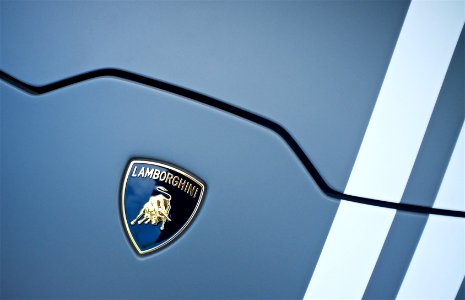 Goodwood Festival of Speed - Lamborghini Badge photo