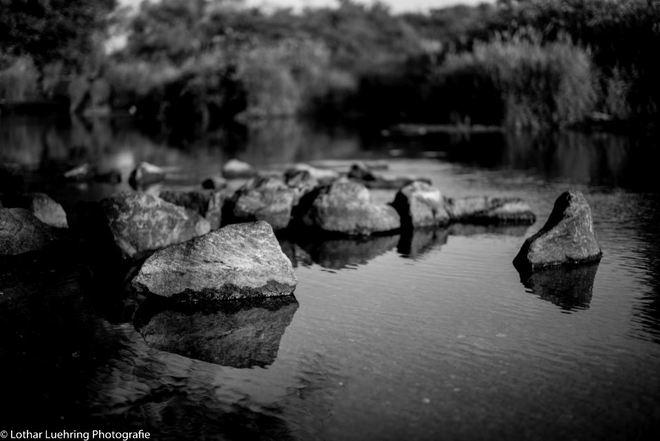 Stones in the Dill