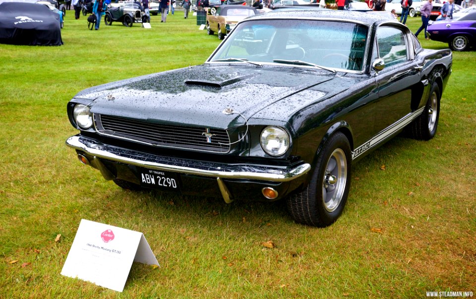 2014 Goodwood Festival Of Speed - Ford Mustang