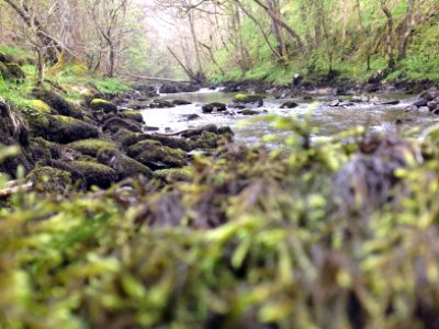 Welsh River