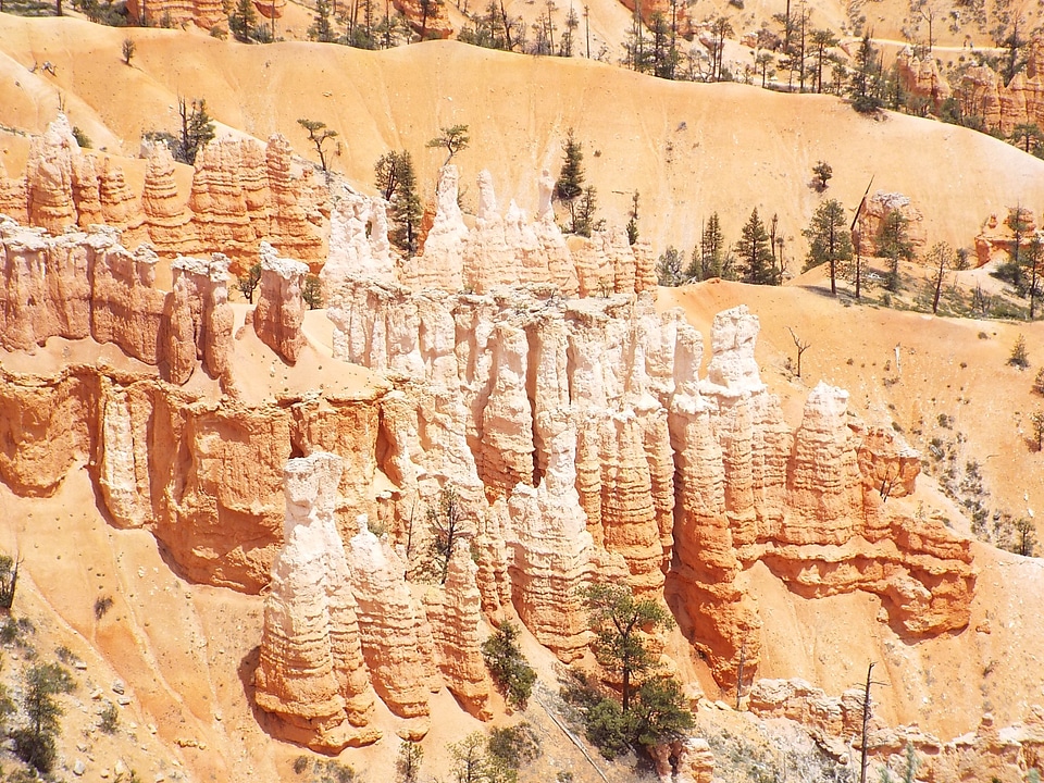 Bryce canyon national