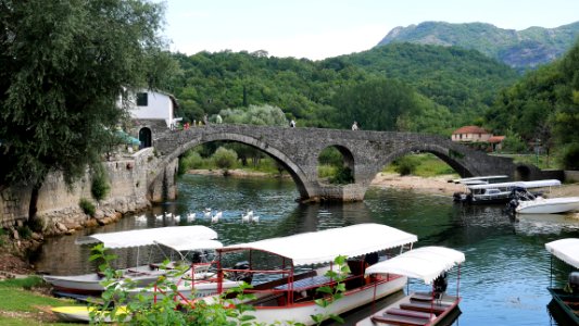 Lac de Shkodra, Monténégro
