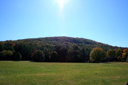 IMG 0723