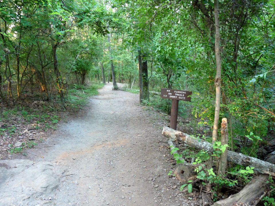 P1000541