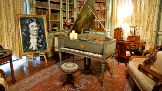 La bibliothèque du Château de Cheverny photo