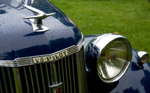 Ford V8 Pilot