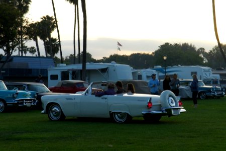 1956 Ford Thunderbird